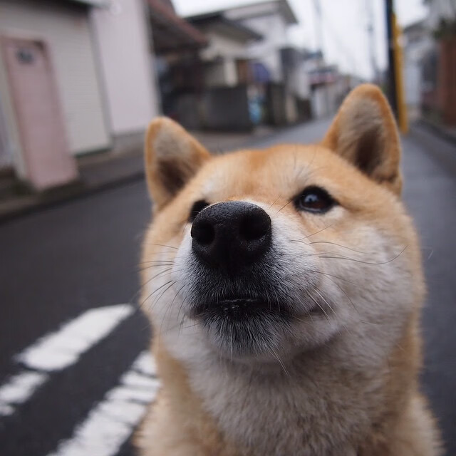 中国女足将在冬训中加强边路突破与传中质量，中国女足2022